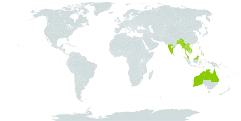 Senna timoriensis world distribution map, present in Australia, Bangladesh, Indonesia, India, Cambodia, Lao People's Democratic Republic, Sri Lanka, Myanmar, Malaysia, Philippines, Thailand, Timor-Leste, and Viet Nam