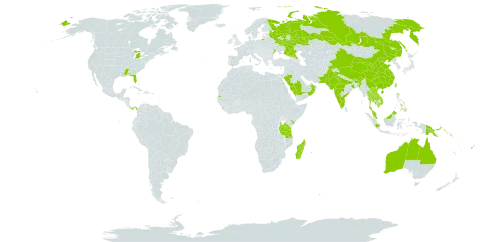 Senna tora world distribution map, present in Australia, Bhutan, China, Fiji, Indonesia, India, Kenya, Cambodia, Lao People's Democratic Republic, Sri Lanka, Madagascar, Maldives, Mauritius, Malaysia, Nepal, Oman, Pakistan, Panama, Philippines, Papua New Guinea, Réunion, Russian Federation, Saudi Arabia, Singapore, Solomon Islands, Seychelles, Thailand, Taiwan, Province of China, Tanzania, United Republic of, Ukraine, United States of America, and Viet Nam