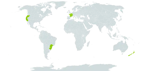 Sequoia sempervirens world distribution map, present in Brazil, France, New Zealand, and United States of America