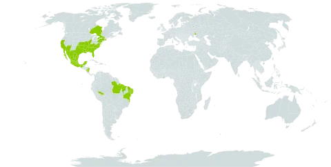 Sesbania herbacea world distribution map, present in Bonaire, Sint Eustatius and Saba, Brazil, Canada, Ghana, Mexico, Nicaragua, Russian Federation, Ukraine, and United States of America