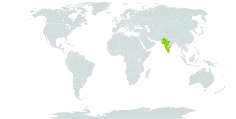 Sesbania procumbens world distribution map, present in India and Kenya