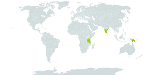 Sesbania speciosa world distribution map, present in India, Kenya, Sri Lanka, Papua New Guinea, and Tanzania, United Republic of