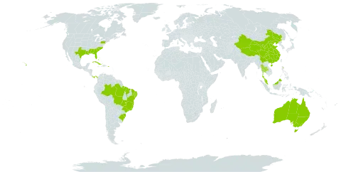 Sesuvium portulacastrum world distribution map, present in Anguilla, Australia, Bahamas, Brazil, China, Cuba, Cayman Islands, Kiribati, Malaysia, Panama, Puerto Rico, Turks and Caicos Islands, Thailand, and United States of America