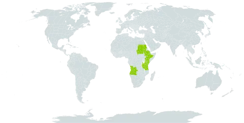 Setaria atrata world distribution map, present in Angola, Burkina Faso, Ethiopia, Kenya, Sudan, Tanzania, United Republic of, and Uganda