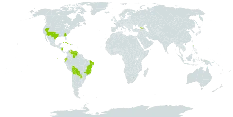 Setaria macrostachya world distribution map, present in Bolivia (Plurinational State of), Brazil, Cuba, Dominica, Ecuador, Georgia, Haiti, Nicaragua, Puerto Rico, Paraguay, United States of America, and Venezuela (Bolivarian Republic of)