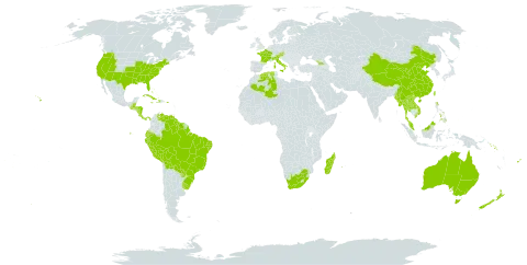 Setaria parviflora world distribution map, present in Åland Islands, Australia, Austria, Bahamas, Belize, Bermuda, Bolivia (Plurinational State of), Brazil, China, Cook Islands, Costa Rica, Cuba, Cayman Islands, Dominica, Algeria, Ecuador, Fiji, France, Georgia, Guatemala, Guyana, Honduras, Haiti, Italy, Jamaica, Lao People's Democratic Republic, Madagascar, Myanmar, Malaysia, Nicaragua, Nepal, New Zealand, Panama, Peru, Philippines, Palau, Puerto Rico, Paraguay, Réunion, Solomon Islands, Suriname, Thailand, Tonga, Taiwan, Province of China, Uruguay, United States of America, Venezuela (Bolivarian Republic of), Viet Nam, and South Africa