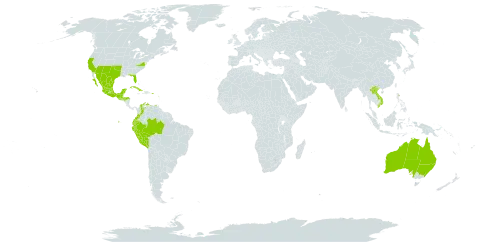 Sida abutilifolia world distribution map, present in Anguilla, Antigua and Barbuda, Australia, Bonaire, Sint Eustatius and Saba, Brazil, Colombia, Cuba, Ecuador, Guadeloupe, Guatemala, Honduras, Jamaica, Lao People's Democratic Republic, Mexico, Peru, Puerto Rico, Turks and Caicos Islands, United States of America, Venezuela (Bolivarian Republic of), and Viet Nam