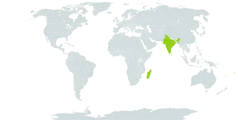 Sida pusilla world distribution map, present in American Samoa, Fiji, India, Madagascar, Niue, Seychelles, Tonga, and Samoa