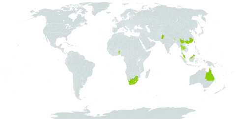 Sida rhombifolia subsp. alnifolia world distribution map, present in Australia, Benin, Bhutan, China, India, Sri Lanka, Mauritius, Malaysia, Pakistan, Réunion, Thailand, Taiwan, Province of China, and South Africa