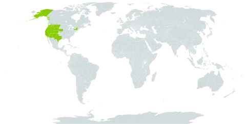 Sidalcea world distribution map, present in United States of America