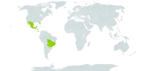 Sigmoidotropis speciosa world distribution map, present in Brazil, Costa Rica, Mexico, Paraguay, and United States of America