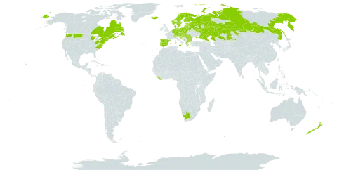 Silene flos-cuculi world distribution map, present in Andorra, Austria, Belgium, Bulgaria, Bosnia and Herzegovina, Belarus, Canada, Switzerland, Czech Republic, Germany, Denmark, Spain, Estonia, Finland, France, United Kingdom of Great Britain and Northern Ireland, Greece, Croatia, Hungary, Iceland, Italy, Kazakhstan, Liberia, Liechtenstein, Lithuania, Luxembourg, Latvia, North Macedonia, Malta, Montenegro, Netherlands, Norway, New Zealand, Poland, Portugal, Romania, Russian Federation, Serbia, Slovakia, Slovenia, Sweden, Ukraine, United States of America, and South Africa