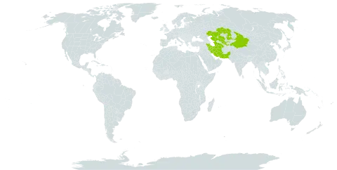 Silene nana world distribution map, present in Afghanistan, China, Iran (Islamic Republic of), Kazakhstan, Pakistan, Tajikistan, Turkmenistan, and Uzbekistan