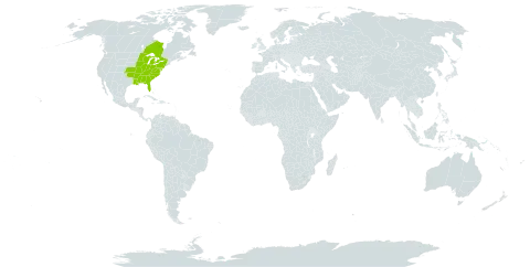 Silene virginica world distribution map, present in Canada and United States of America