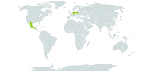 Simsia foetida world distribution map, present in Germany, Guatemala, Mexico, Poland, and El Salvador