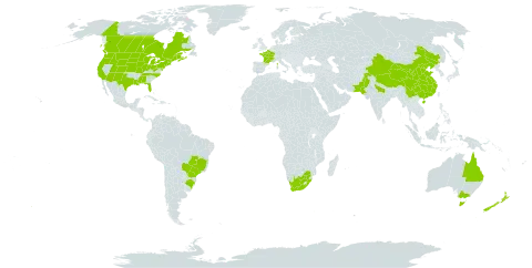 Sinapis alba world distribution map, present in Australia, Brazil, Canada, China, France, India, New Zealand, Pakistan, United States of America, and South Africa