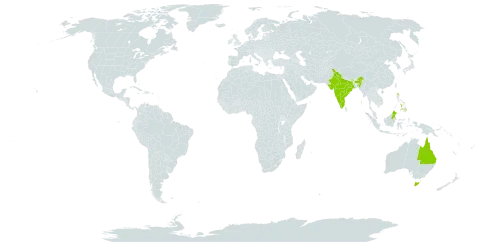 Sindora supa world distribution map, present in Australia, Indonesia, India, Malaysia, Philippines, and Singapore