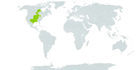 Sisyrinchium campestre world distribution map, present in Canada, Micronesia (Federated States of), and United States of America