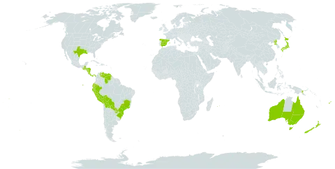 Sisyrinchium micranthum world distribution map, present in Australia, Bolivia (Plurinational State of), Brazil, Costa Rica, Dominica, Ecuador, Spain, Fiji, Guatemala, Honduras, Japan, Mauritius, Norfolk Island, Nicaragua, New Zealand, Panama, Peru, Papua New Guinea, Korea (Democratic People's Republic of), Paraguay, Réunion, United States of America, Venezuela (Bolivarian Republic of), and Samoa