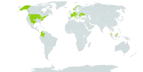 Sisyrinchium montanum world distribution map, present in Austria, Switzerland, Colombia, Czech Republic, Germany, France, Micronesia (Federated States of), Ireland, Italy, Malaysia, Netherlands, Norway, Romania, Ukraine, and United States of America