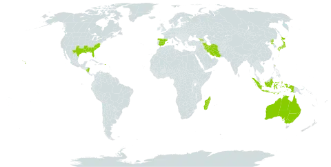 Sisyrinchium rosulatum world distribution map, present in Åland Islands, Australia, Dominica, Spain, Georgia, Indonesia, Iran (Islamic Republic of), Japan, Madagascar, Nicaragua, Puerto Rico, Korea (Democratic People's Republic of), and United States of America