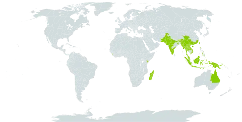 Smithia sensitiva world distribution map, present in Australia, Bhutan, China, Indonesia, India, Kenya, Lao People's Democratic Republic, Sri Lanka, Madagascar, Myanmar, Malaysia, Nepal, Pakistan, Philippines, Papua New Guinea, Thailand, Taiwan, Province of China, and Viet Nam