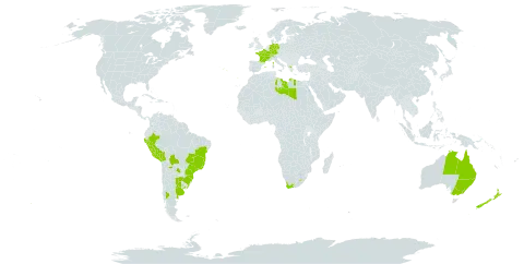 Solanum chenopodioides world distribution map, present in Argentina, Australia, Bolivia (Plurinational State of), Brazil, Switzerland, Germany, Spain, France, Greece, Libya, Lesotho, New Zealand, Peru, Portugal, Paraguay, Uruguay, and South Africa