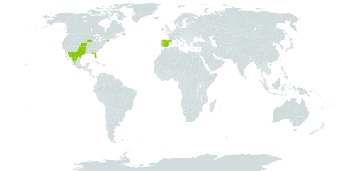 Solanum citrullifolium world distribution map, present in Spain, Mexico, Portugal, and United States of America