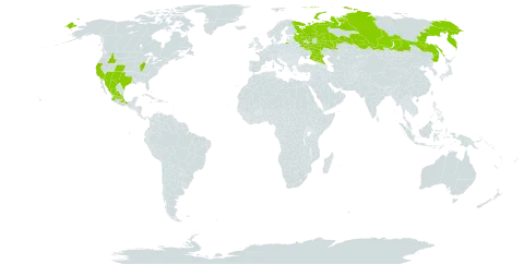 Solanum heterodoxum world distribution map, present in Mexico, Russian Federation, and United States of America