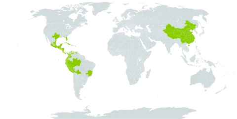 Solanum nudum world distribution map, present in Belize, Bolivia (Plurinational State of), Brazil, China, Colombia, Costa Rica, Cuba, Ecuador, Grenada, Guatemala, Honduras, Jamaica, Mexico, Nicaragua, Panama, Peru, Puerto Rico, El Salvador, United States of America, and Venezuela (Bolivarian Republic of)