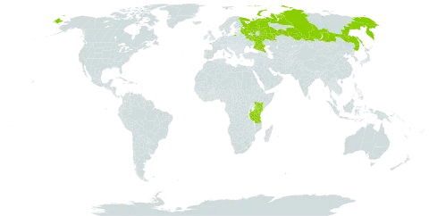 Solanum schumannianum world distribution map, present in Kenya, Malawi, Russian Federation, and Tanzania, United Republic of