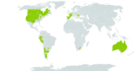 Solanum triflorum world distribution map, present in Albania, Argentina, Australia, Belgium, Canada, Spain, France, United Kingdom of Great Britain and Northern Ireland, Lesotho, Netherlands, Peru, Romania, Slovakia, Uruguay, United States of America, and South Africa