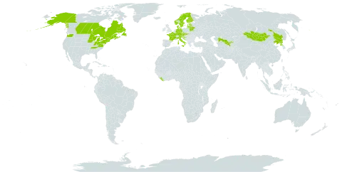 Sorbaria sorbifolia world distribution map, present in Austria, Belarus, Canada, China, Czech Republic, Germany, Denmark, Estonia, Finland, France, Croatia, Italy, Liberia, Lithuania, Latvia, Mongolia, Norway, Korea (Democratic People's Republic of), Slovakia, Sweden, United States of America, and Uzbekistan