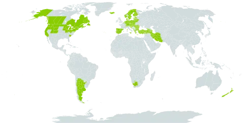 Sorbus aucuparia world distribution map, present in Albania, Andorra, Argentina, Armenia, Austria, Azerbaijan, Belgium, Bulgaria, Bosnia and Herzegovina, Belarus, Canada, Switzerland, Czech Republic, Germany, Denmark, Spain, Estonia, Finland, France, United Kingdom of Great Britain and Northern Ireland, Georgia, Greece, Croatia, Hungary, Iran (Islamic Republic of), Iceland, Italy, Liechtenstein, Lithuania, Luxembourg, Latvia, Moldova (Republic of), North Macedonia, Malta, Montenegro, Netherlands, Norway, New Zealand, Poland, Portugal, Romania, Saint Pierre and Miquelon, Serbia, Slovakia, Slovenia, Sweden, Turkey, United States of America, and South Africa