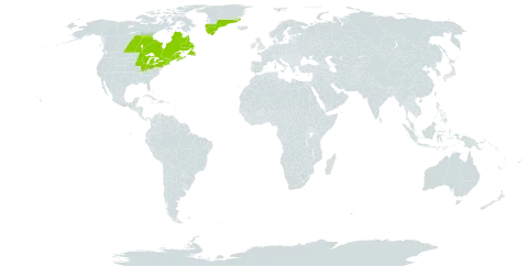 Sorbus decora world distribution map, present in Canada, France, Greenland, Saint Pierre and Miquelon, and United States of America