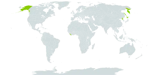 Sorbus sambucifolia world distribution map, present in Japan, Liberia, Korea (Democratic People's Republic of), Russian Federation, and United States of America