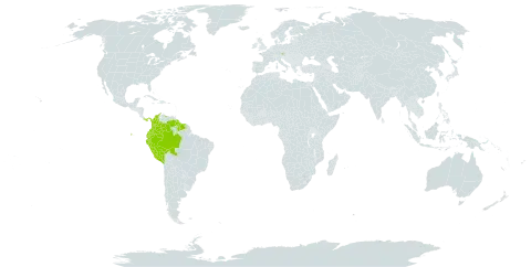 Sorocea pubivena subsp. oligotricha world distribution map, present in Austria, Bolivia (Plurinational State of), Brazil, Colombia, Ecuador, Guyana, Panama, Peru, Suriname, and Venezuela (Bolivarian Republic of)