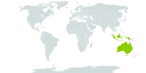 Soulamea amara world distribution map, present in Australia, Central African Republic, Micronesia (Federated States of), Indonesia, Iraq, Kenya, Marshall Islands, Malaysia, Palau, Papua New Guinea, Solomon Islands, United States of America, and Vanuatu