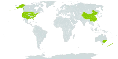 Spergularia world distribution map, present in Australia, China, New Zealand, and United States of America