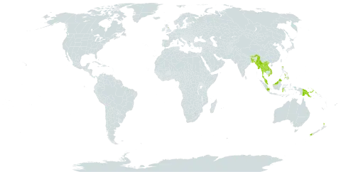 Sphaeropteris glauca world distribution map, present in Bangladesh, Bhutan, United Kingdom of Great Britain and Northern Ireland, Hong Kong, Indonesia, India, Lao People's Democratic Republic, Myanmar, Malaysia, New Zealand, Philippines, Papua New Guinea, Thailand, and Viet Nam