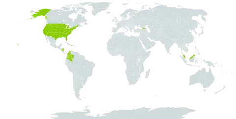 Sphenopholis world distribution map, present in Åland Islands, Colombia, Dominica, Micronesia (Federated States of), Georgia, Haiti, Malaysia, Nicaragua, and United States of America