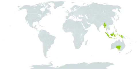 Spilanthes world distribution map, present in American Samoa, Australia, Bahamas, Indonesia, Iceland, Myanmar, and Philippines