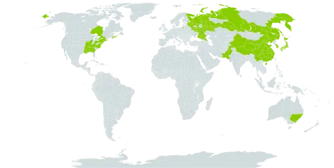 Spiraea prunifolia world distribution map, present in Australia, Canada, China, Japan, Korea (Republic of), Pakistan, Russian Federation, and United States of America