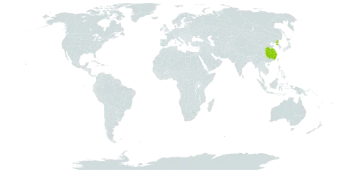 Spiraea prunifolia var. simpliciflora world distribution map, present in China and Korea (Democratic People's Republic of)