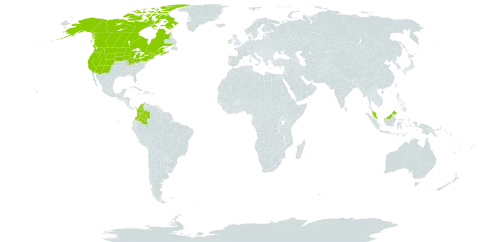 Spiranthes romanzoffiana world distribution map, present in Canada, Colombia, France, Micronesia (Federated States of), Ireland, Malaysia, and United States of America