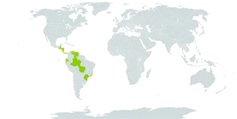 Stelis ciliaris world distribution map, present in Belize, Brazil, Costa Rica, Ecuador, Guatemala, Honduras, Nicaragua, Panama, and Venezuela (Bolivarian Republic of)