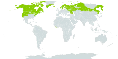 Stellaria borealis world distribution map, present in Canada, Finland, France, Greenland, Iceland, Liberia, Norway, Russian Federation, Saint Pierre and Miquelon, Sweden, and United States of America