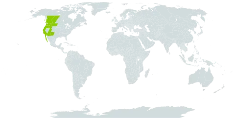 Stellaria nitens world distribution map, present in Canada, Mexico, and United States of America