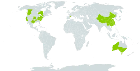 Stellaria pallida world distribution map, present in Australia, Canada, China, France, and United States of America