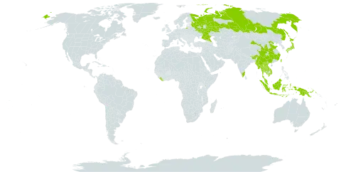 Stellaria vestita world distribution map, present in Bhutan, China, Indonesia, India, Japan, Kenya, Cambodia, Lao People's Democratic Republic, Liberia, Myanmar, Malaysia, Nepal, Philippines, Papua New Guinea, Russian Federation, Thailand, Taiwan, Province of China, and Viet Nam